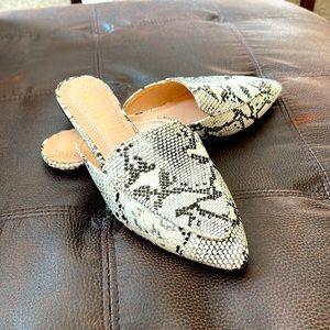 Chase + Chloe Flats NWOT